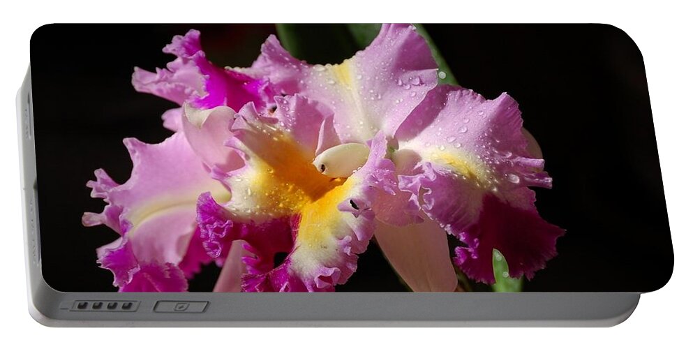 Orchid Portable Battery Charger featuring the photograph Best Cattleya by Nancy Ayanna Wyatt