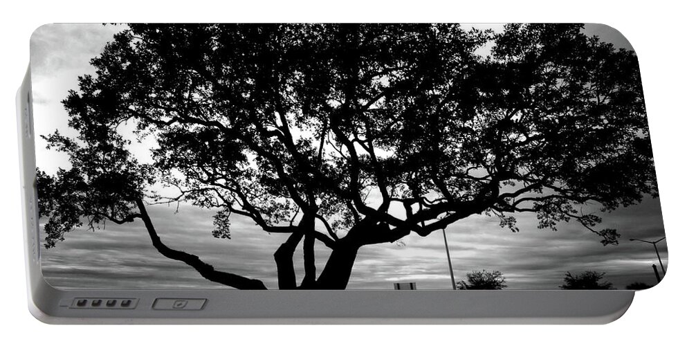 Oak Portable Battery Charger featuring the photograph Biloxi Oaks by George Taylor