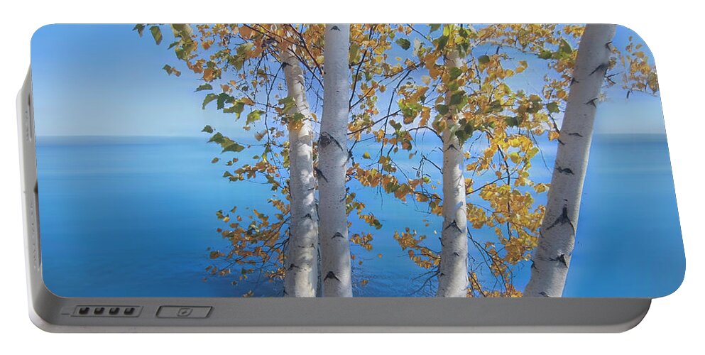 Fall Portable Battery Charger featuring the photograph Birch Trees on the Lake Dreamscape by Debra and Dave Vanderlaan