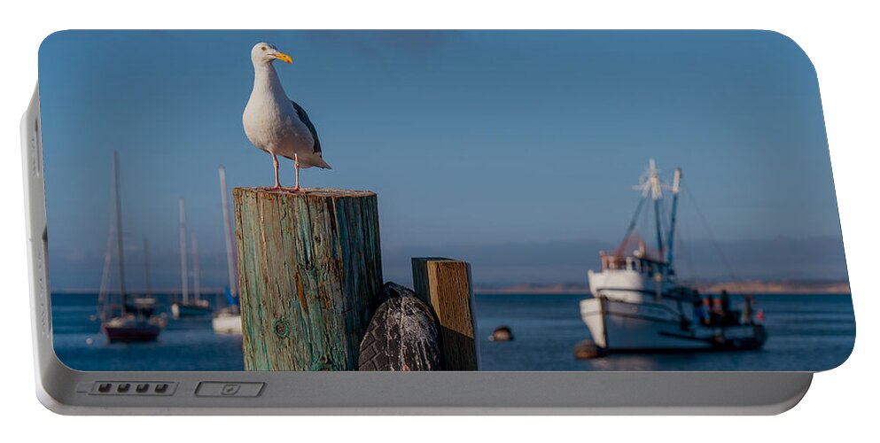 Bird Portable Battery Charger featuring the photograph Bird on a Post by Derek Dean