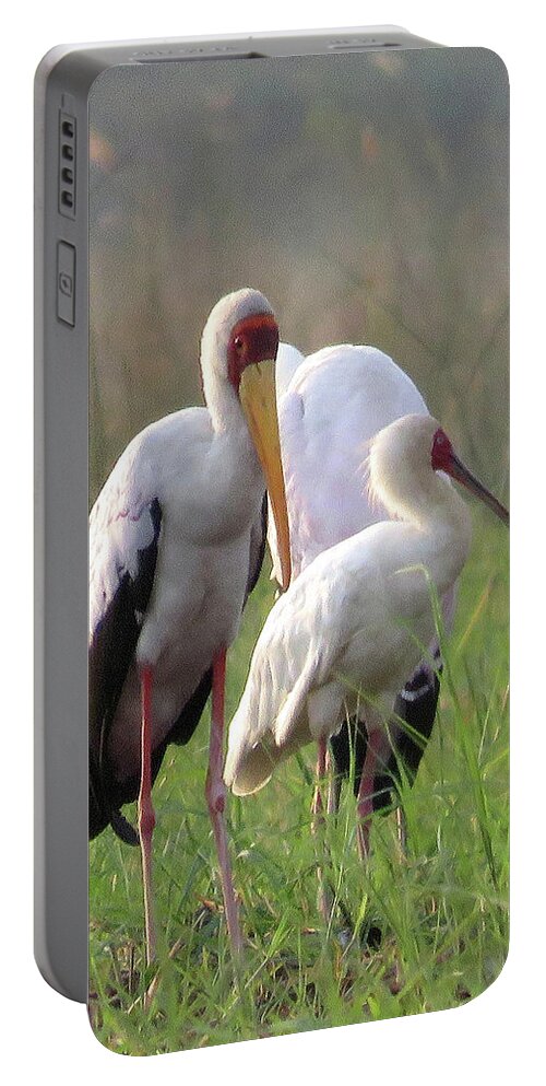 Africa Portable Battery Charger featuring the photograph Birds by Eric Pengelly