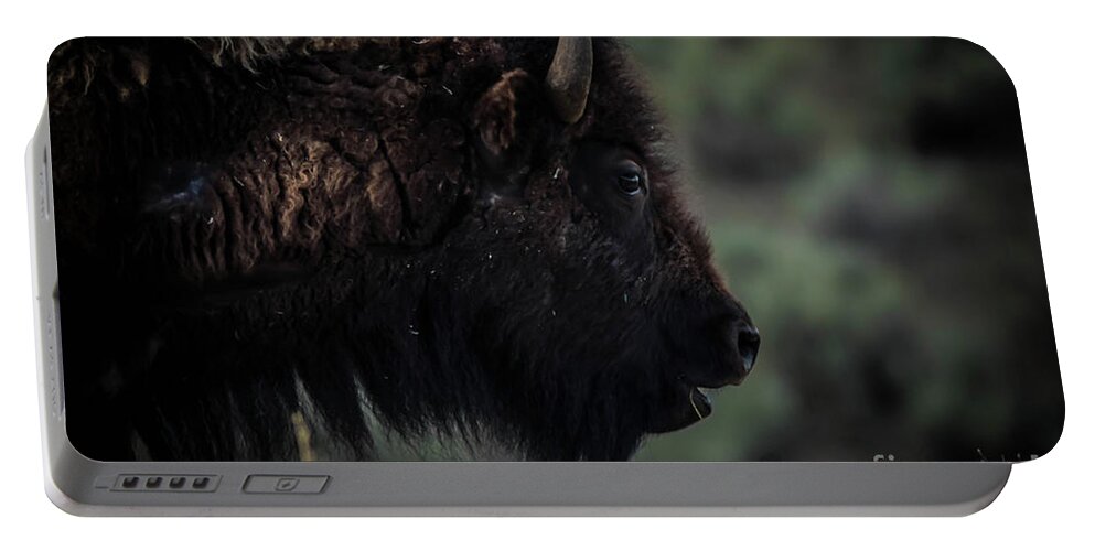 #bison Portable Battery Charger featuring the photograph Bison by George Kenhan