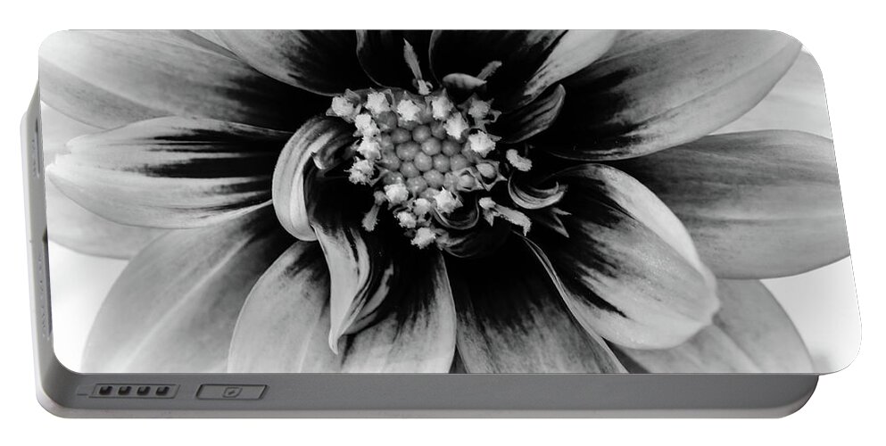 Black & White Portable Battery Charger featuring the photograph Black and White Dahlia by Louis Dallara