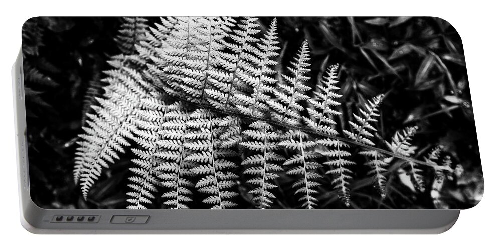 New Jersey Portable Battery Charger featuring the photograph Black and White Fern by Louis Dallara