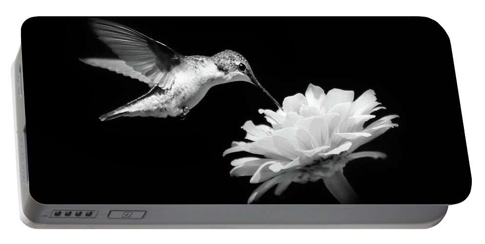 Hummingbird Portable Battery Charger featuring the photograph Black and White Hummingbird and Flower by Christina Rollo