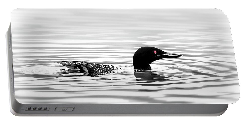 Loon Portable Battery Charger featuring the photograph Black And White Loon by Christina Rollo