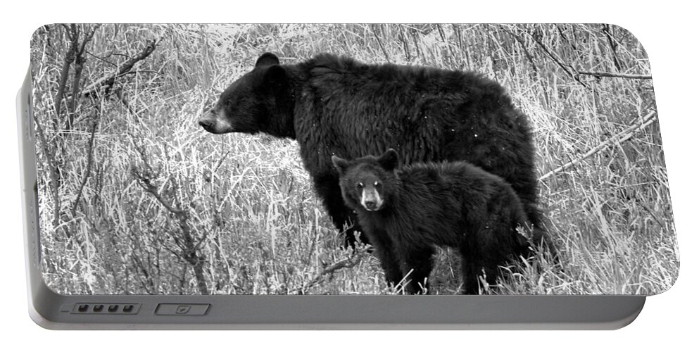 Black Bear Portable Battery Charger featuring the photograph Black Bear Sow With Junior Black And White by Adam Jewell