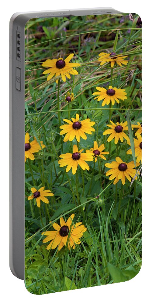 Allegheny Plateau Portable Battery Charger featuring the photograph Black-eyed Susan by Michael Gadomski