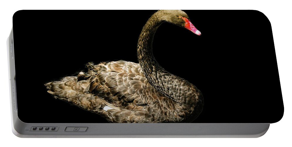 Swan Portable Battery Charger featuring the photograph Black Swan on Black by Alison Frank