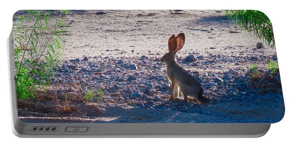 Arizona Portable Battery Charger featuring the photograph Black-Tailed Jackrabbit in a Desert Wash by Judy Kennedy