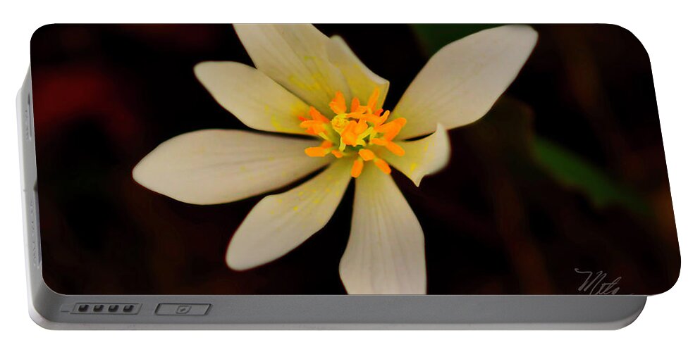 Macro Photography Portable Battery Charger featuring the photograph Bloodroot by Meta Gatschenberger
