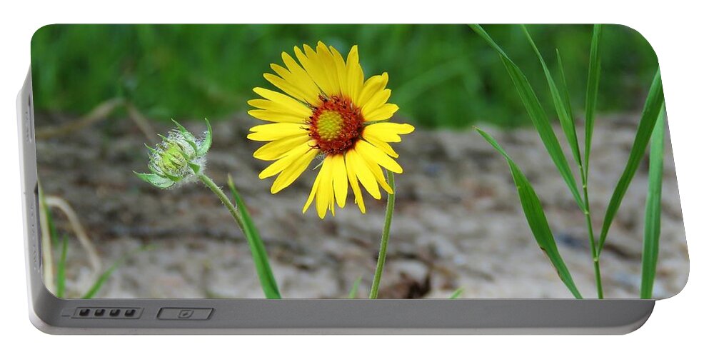 Flower Portable Battery Charger featuring the photograph Bloom and Waiting by Joan Stratton