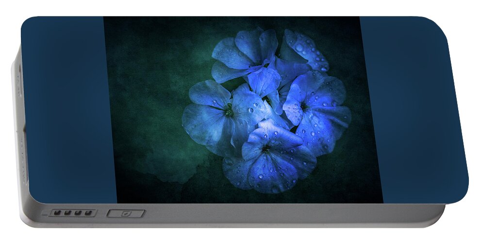 Flower Portable Battery Charger featuring the photograph Blue by Allin Sorenson