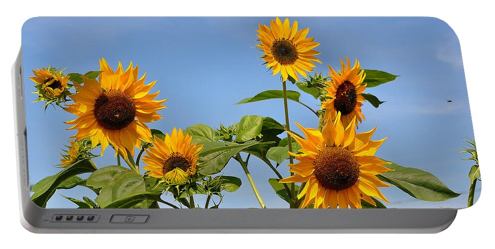 Sun Flower Portable Battery Charger featuring the photograph Blue and Yellow by Todd Hostetter