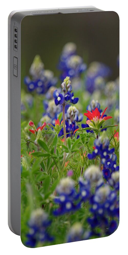 Red Portable Battery Charger featuring the photograph Blue Bonnets and a Paintbrush by Amanda Smith
