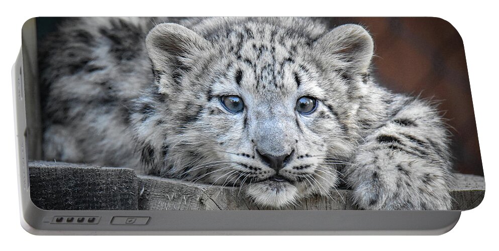 Tiger Portable Battery Charger featuring the photograph Blue Eyed Tiger Cub by Michelle Wittensoldner