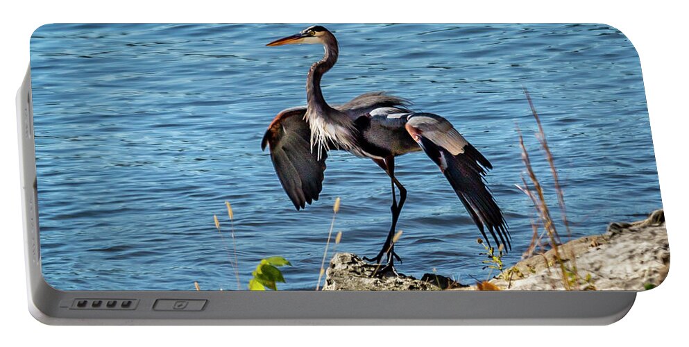 Blue Heron Portable Battery Charger featuring the photograph Blue Heron by David Wagenblatt