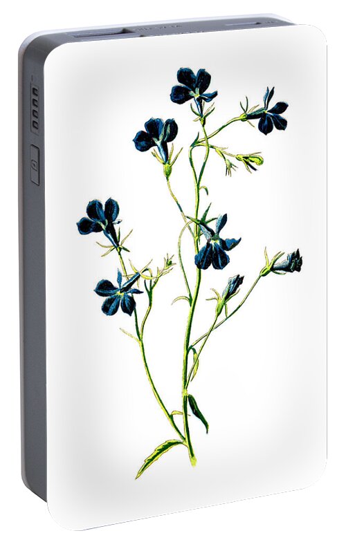 Flower Portable Battery Charger featuring the mixed media Blue Lobelia Flower by Naxart Studio