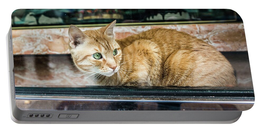 Bronx Portable Battery Charger featuring the photograph Bodega Cat by KC Hulsman
