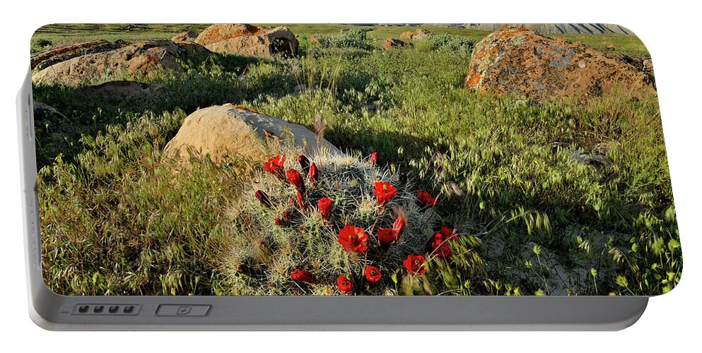 Book Cliffs Portable Battery Charger featuring the photograph Book Cliff Desert Cacti Bloom by Ray Mathis