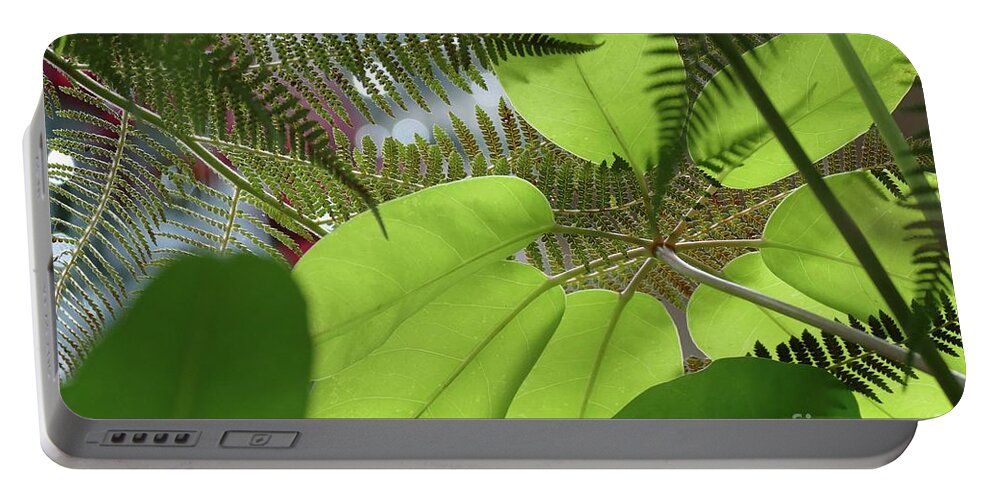 Nature Portable Battery Charger featuring the photograph Both Sides of the Story by Cindy Manero