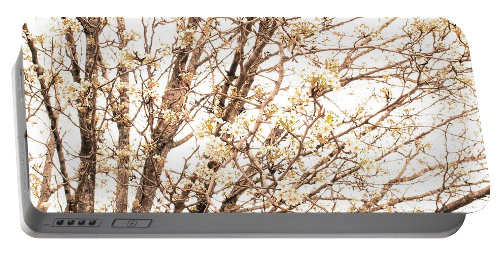 Floral Portable Battery Charger featuring the photograph Bradford Pear Bloom by Michelle Anderson