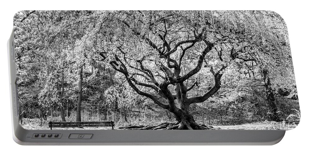 Cherry Blossoms Portable Battery Charger featuring the photograph Branch Brook Park by Anthony Sacco