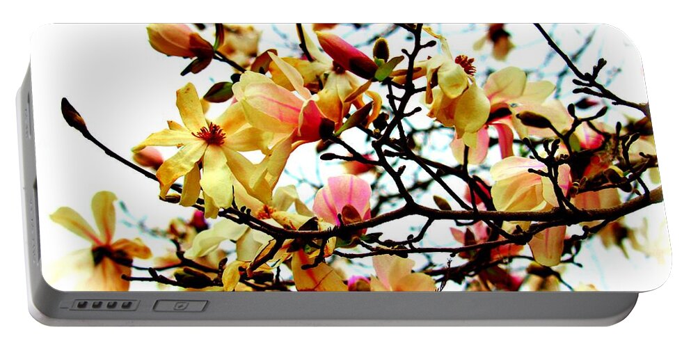 Magnolia Portable Battery Charger featuring the photograph Branch Of Magnolia Flowers by Cynthia Guinn