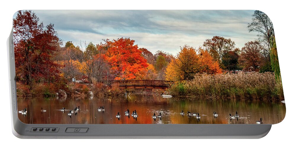 American Kiwi Photo Portable Battery Charger featuring the photograph Bridge over the Pond by Mark Dodd