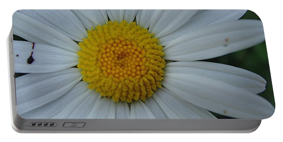 Flower Portable Battery Charger featuring the photograph Bright flower by Karin Ravasio