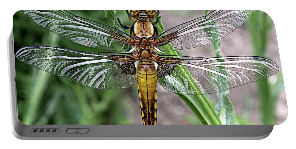 Broad Bodied Chaser Portable Battery Charger featuring the photograph Broad bodied chaser by Martin Smith