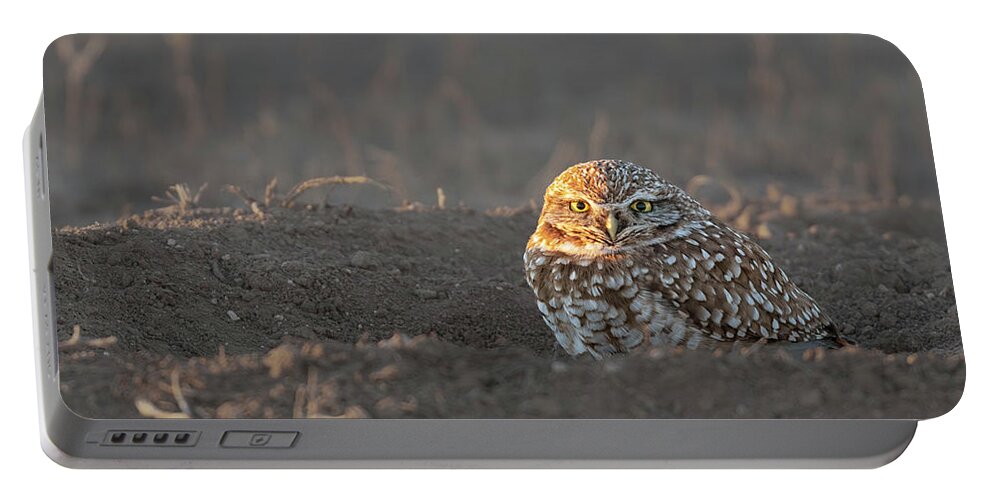 Burrowing Portable Battery Charger featuring the photograph Burrowing Owl Late evening by Gary Langley