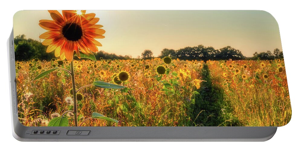 Sunflower Portable Battery Charger featuring the photograph Bursting through Sunflowers by Framing Places