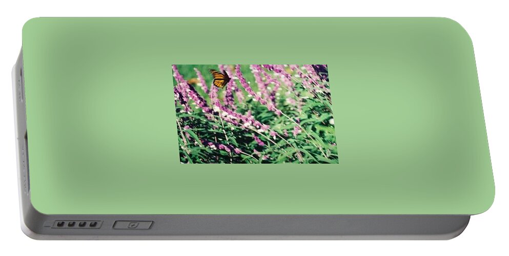 Butterfly Portable Battery Charger featuring the photograph Butterfly Field by FD Graham
