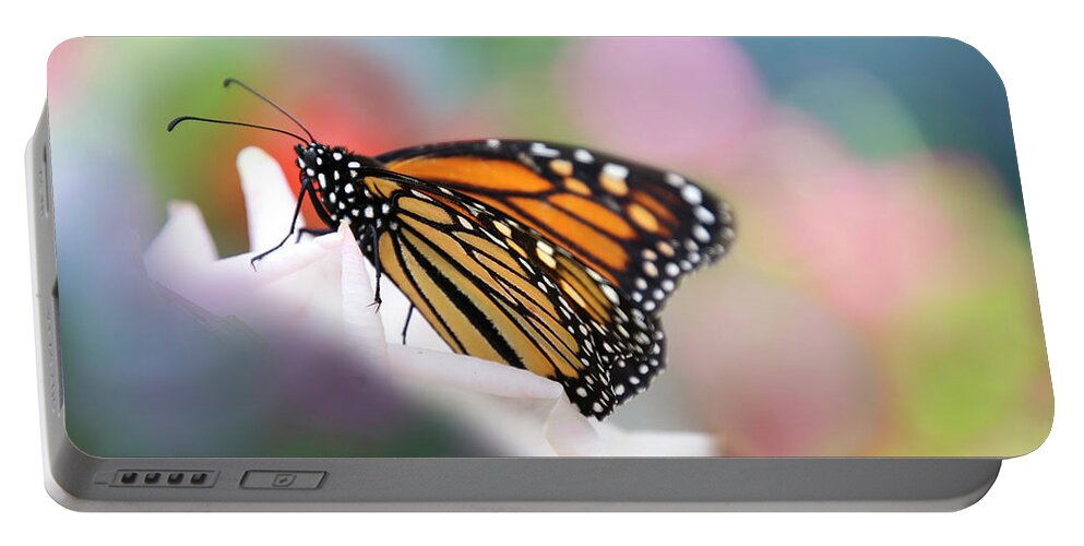 Butterfly Portable Battery Charger featuring the photograph Butterfly Garden by Diana Haronis