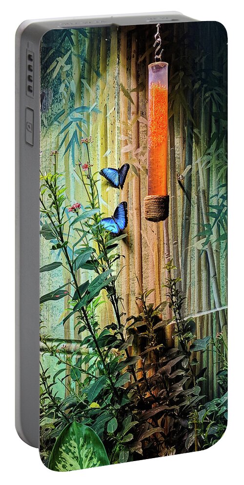 Plant Portable Battery Charger featuring the photograph Butterfly Garden by Portia Olaughlin