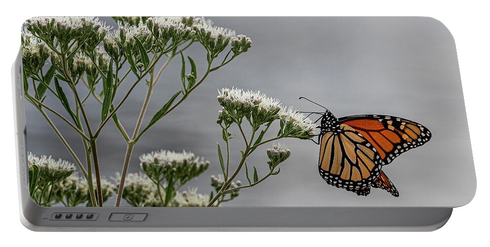  Portable Battery Charger featuring the photograph Butterfly by Kristine Hinrichs