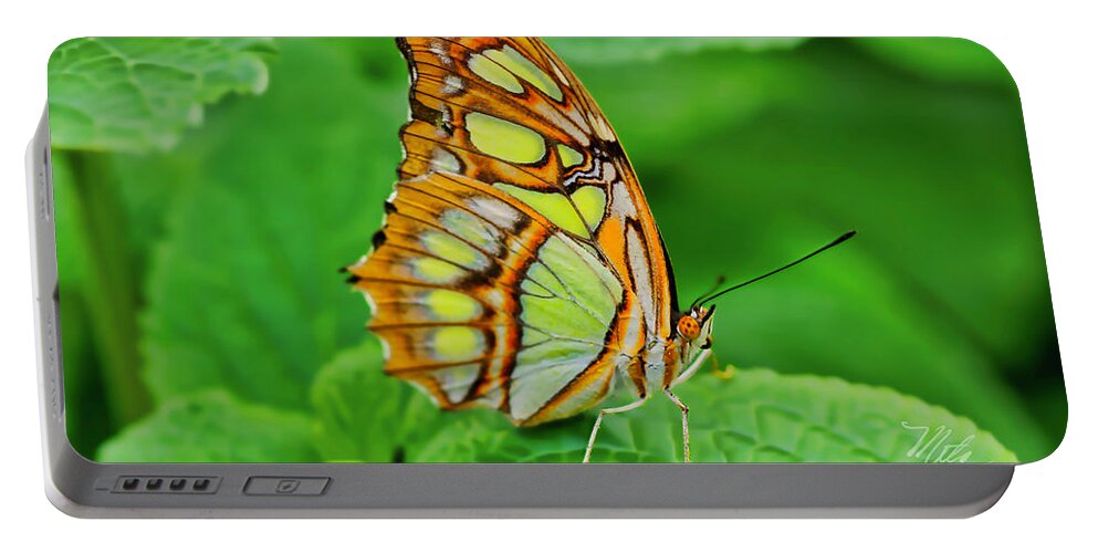 Macro Photography Portable Battery Charger featuring the photograph Butterfly Leaf by Meta Gatschenberger