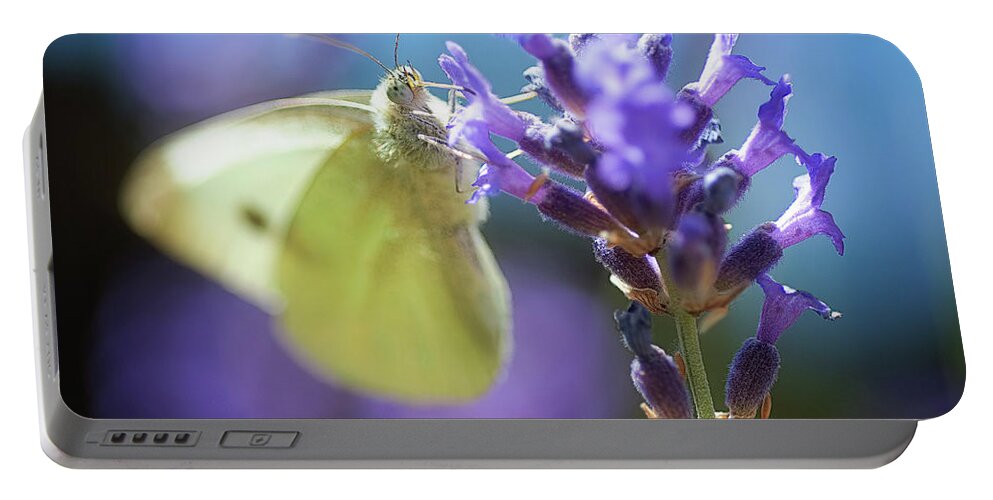 Macro Portable Battery Charger featuring the photograph Butterfly by Mariusz Talarek