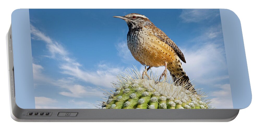 Adult Portable Battery Charger featuring the photograph Cactus Wren on a Saguaro Cactus by Jeff Goulden