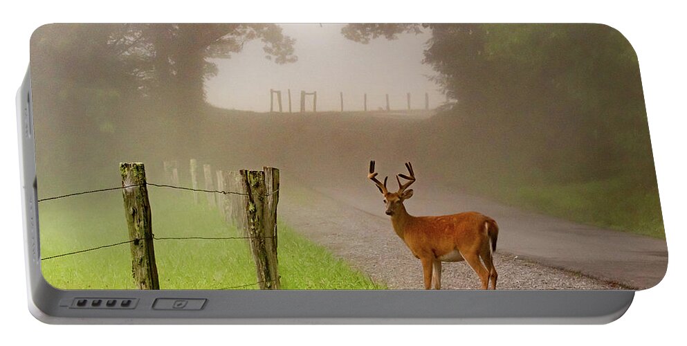 Cades Cove Portable Battery Charger featuring the photograph Cades Cove Buck on a Foggy Morning by Marcy Wielfaert