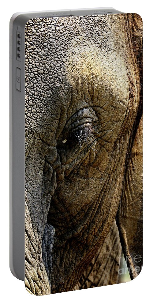 Africa Zambia Livingstone Elephant Café Portable Battery Charger featuring the photograph Cafe Elephant by Darcy Dietrich