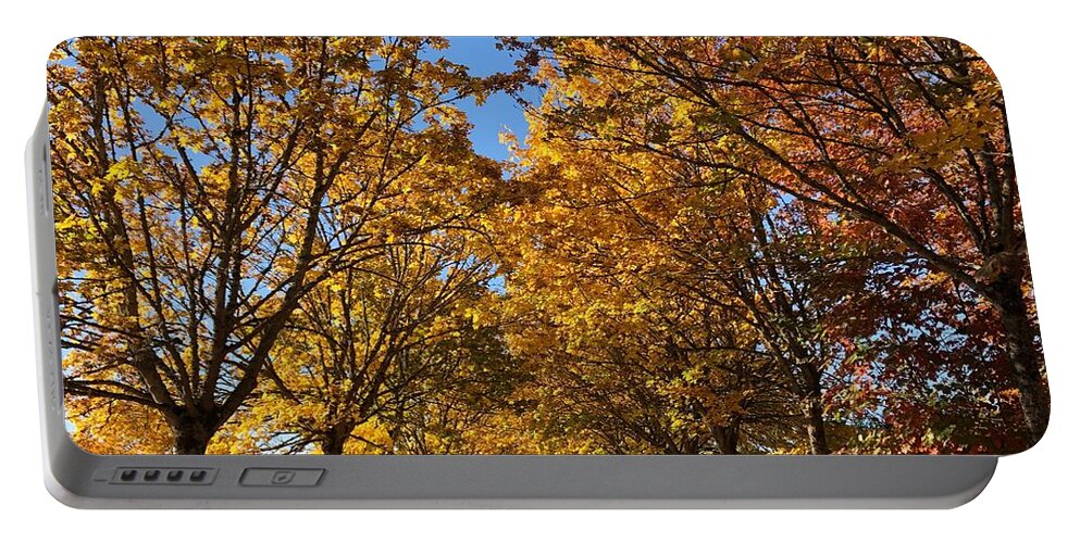 Autumn Portable Battery Charger featuring the photograph Canopy Of Color by Brian Eberly