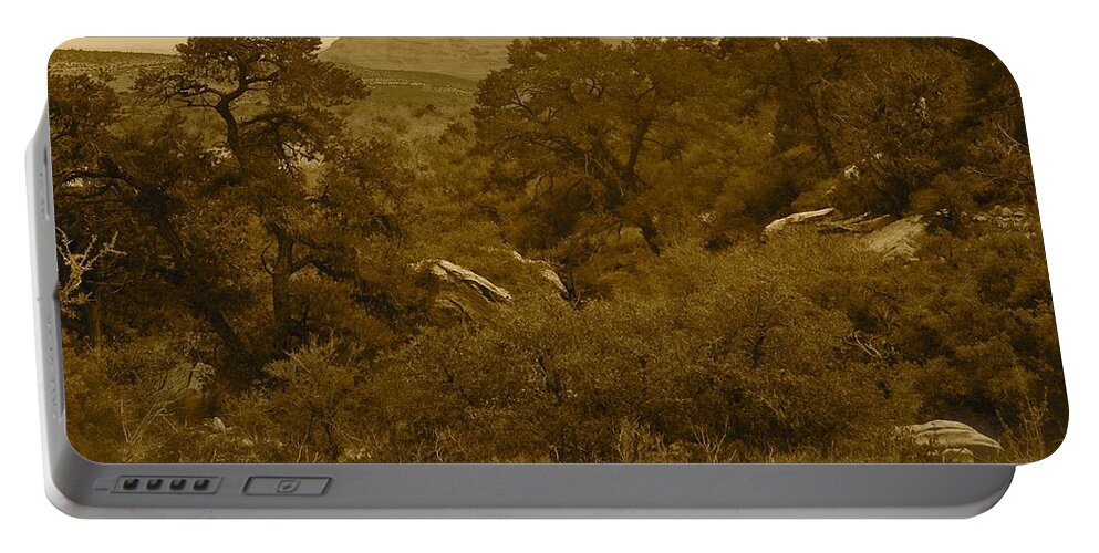 Vista Portable Battery Charger featuring the photograph Canyon View by Debra Grace Addison