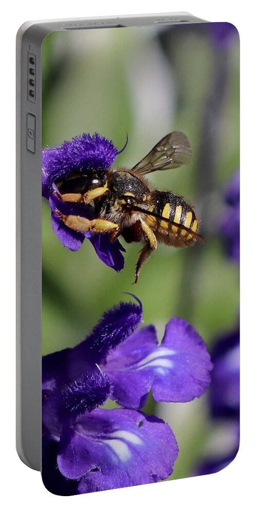 Bee Portable Battery Charger featuring the photograph Carder Bee on Salvia by Sarah Lilja