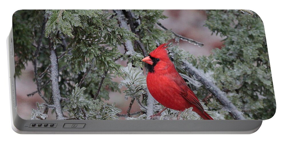 Cardinal Portable Battery Charger featuring the photograph Cardinal 4667 by John Moyer