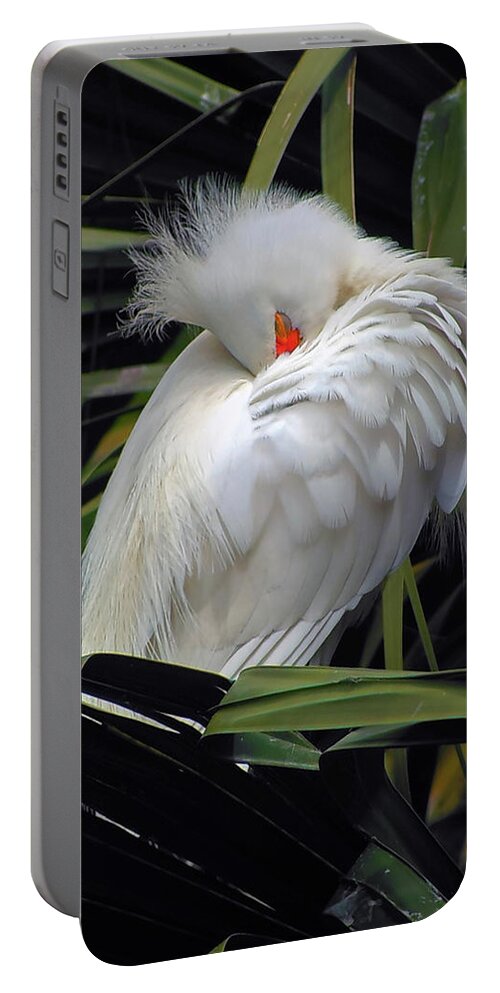 Egret Portable Battery Charger featuring the photograph Catching the Red Eye by Michael Allard