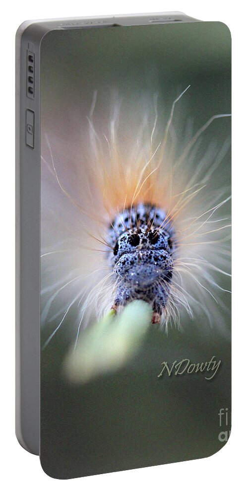  Portable Battery Charger featuring the photograph Caterpillar Face by Natalie Dowty