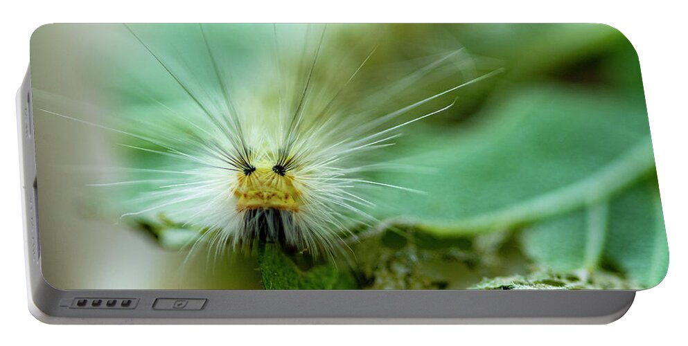 Macro Portable Battery Charger featuring the photograph Caterpillar Macro by Cathy Kovarik