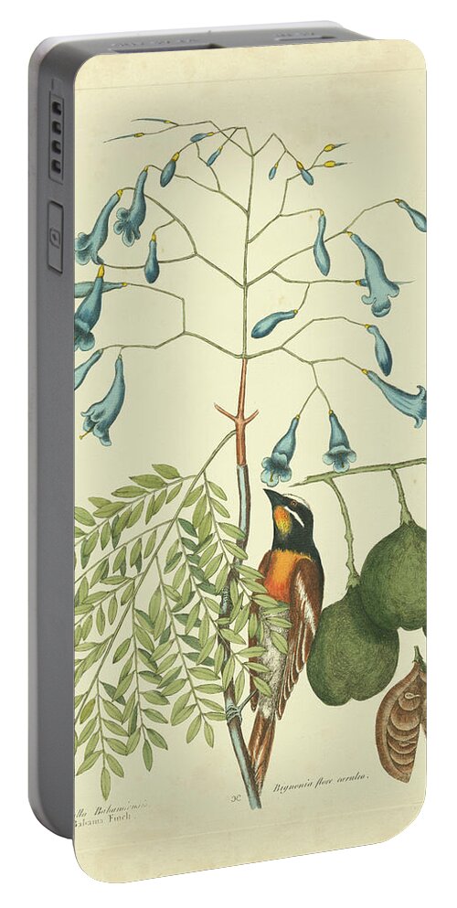 Animals Portable Battery Charger featuring the painting Catesby Bird & Botanical II by Mark Catesby